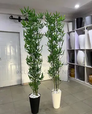 Artificial Bamboo Realistic Plant Over 6ft Tall Black And White Pot