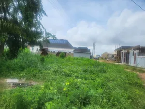 Standard 2 Plots of Land at Olusoji Avenue for Sale