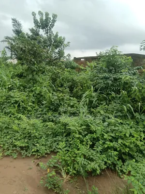 Ipakere Epe Land With Survey and Deed of Assignment