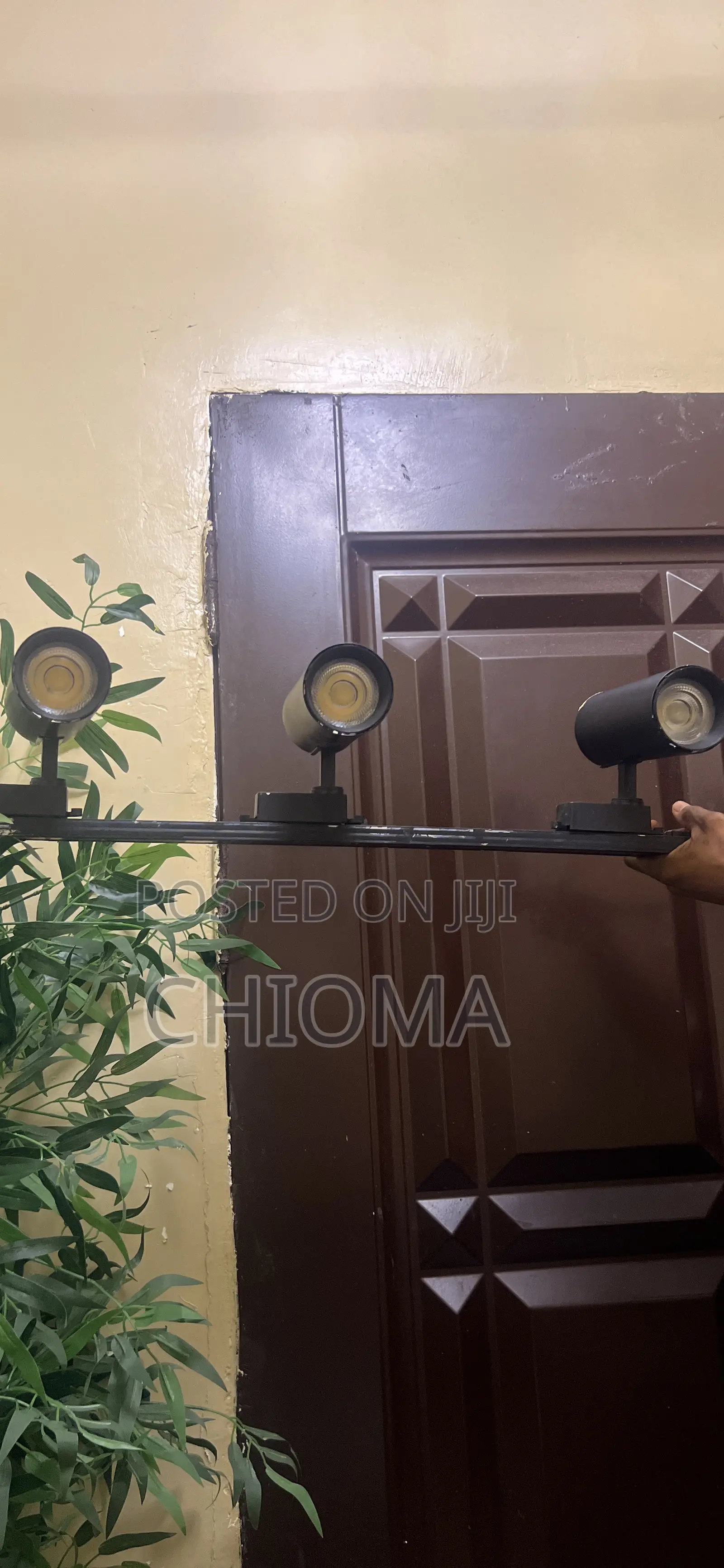 Track Light