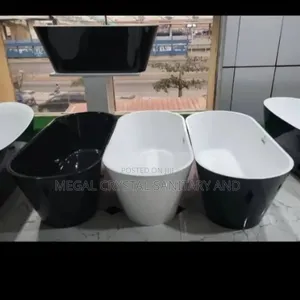 Executive Bathup for All Toilet