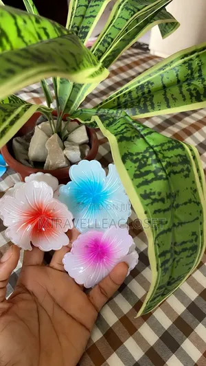 Hair Accessories