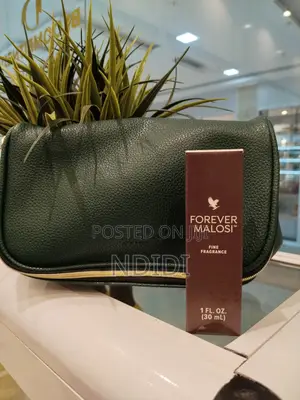 Elizabeth Arden Gift Bag With Malosi Mens Cologne