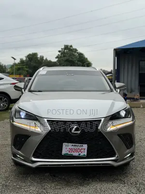 Lexus NX 300 FWD 2019 Gray