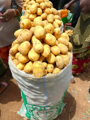 Plateau State Farm Produces