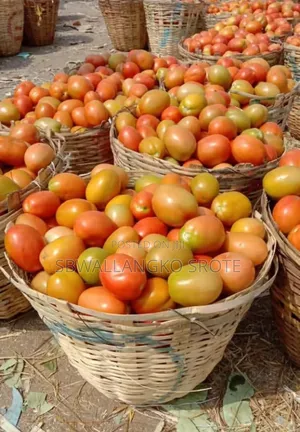 Fresh Jos Utc Tomatoes Available