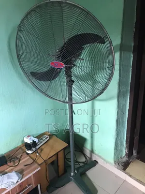Standing Fan