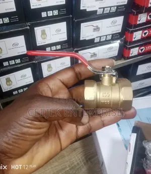 1 Inch Brass Air Valve