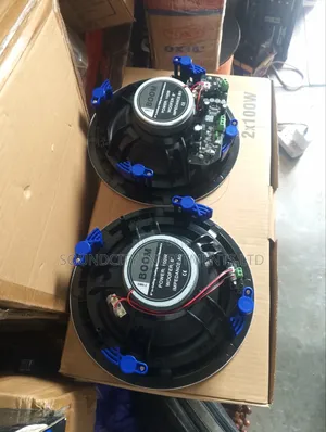 Boom 100w 2 in 1 Bluetooth Ceiling Speaker.