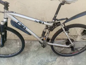 Adult Bicycles