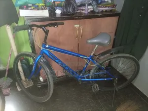 Adult Bicycles
