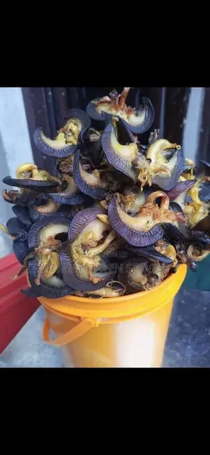 Dehydrated Snail