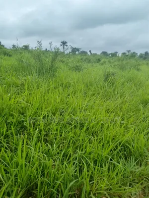 4 Acres Of Land At Ajadi Village Off Akufo-akindele Rd.