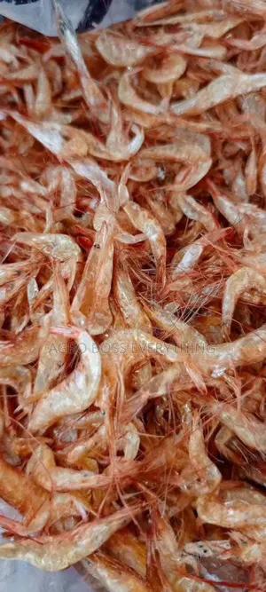 Clean Oron Crayfish