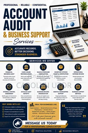 Professional Account Audit Business Support Services