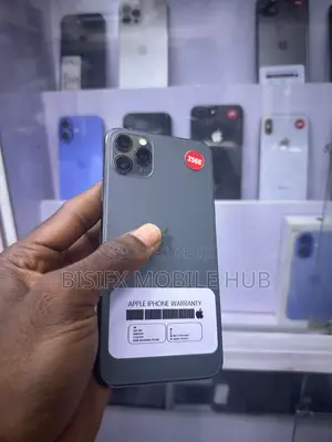 Apple iPhone 11 Pro Max 256 GB Gray