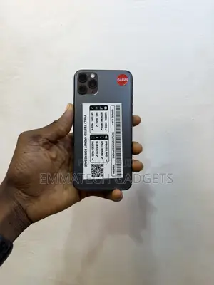 Apple iPhone 11 Pro Max 64 GB Gray