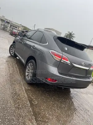Lexus RX 2013 Gray