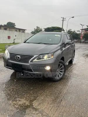 Lexus RX 2013 Gray