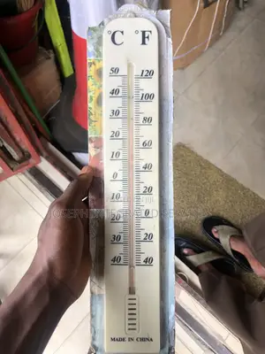 Traditional Analog Wall Thermometer