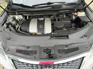 Lexus RX 2017 White