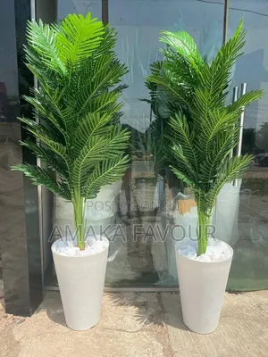 Flowers Decor