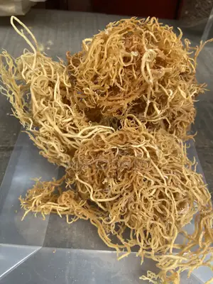 Wild Crafted Sea Moss - 100g