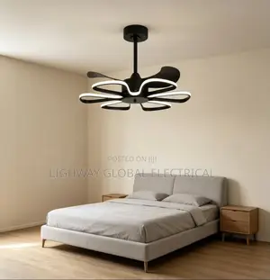 Simple Designer Fan Chanderlier