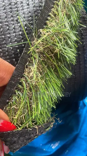 Synthetic Grass