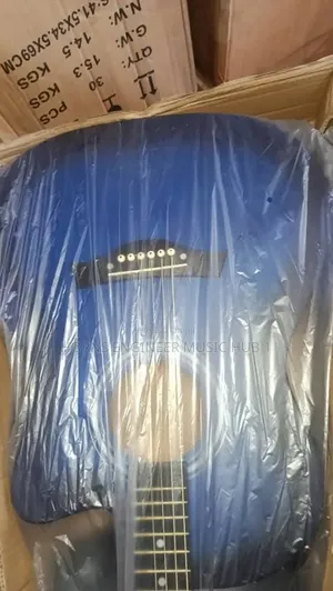 Acoustic Guitar