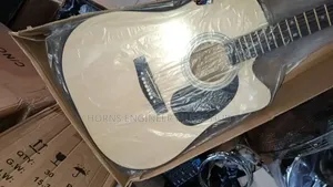 Acoustic Guitar
