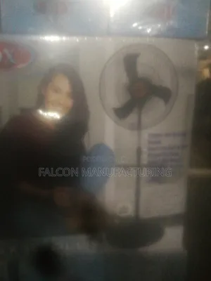 Ox Plus Standing and Wall Fan for Sale