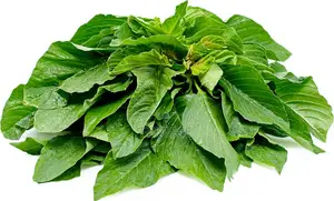 Fresh Efe Tete