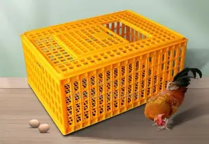 Transfer Crates for Poultry