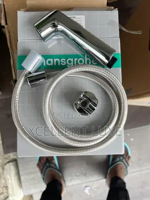Hansgrohe Bidet Spray Kits (Bum Bum Wash) German Made