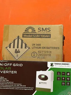 100ah 12.8v (1.28kwh) SMS Lithium Battery