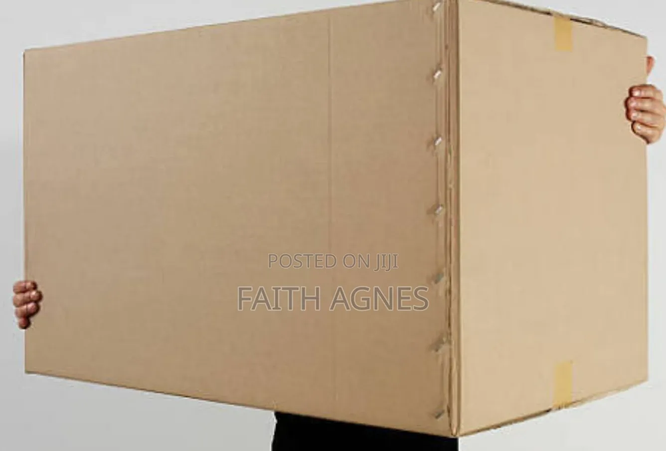 Storage Carton