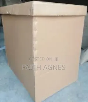 Storage Carton