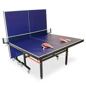 Table Tennis Board Wholesale Supplier in Nigeria