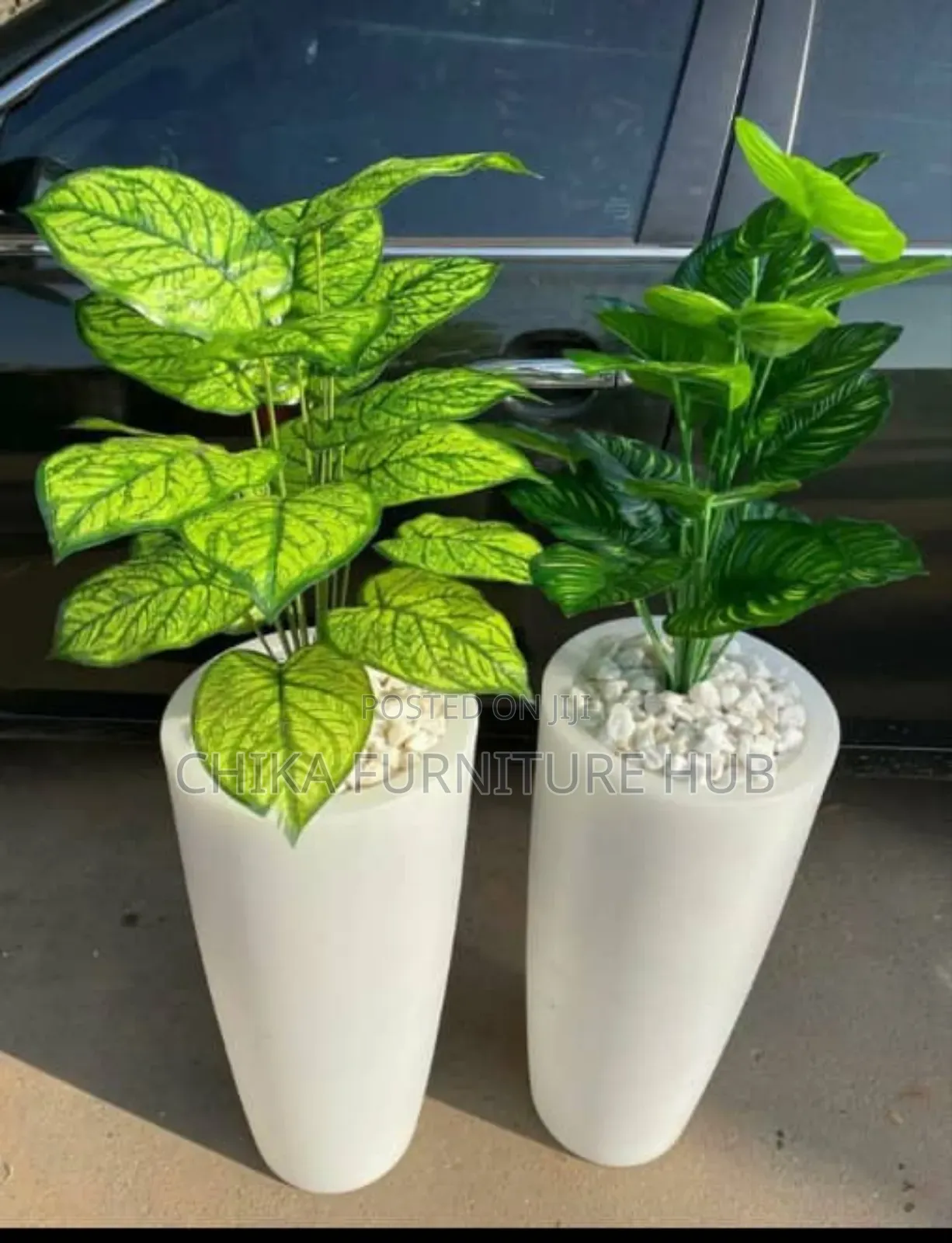 Flower Pot