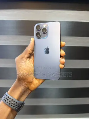 Apple iPhone 15 Pro Max 256 GB Gray