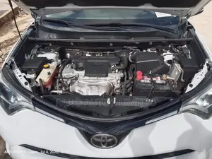 Toyota RAV4 XLE 4dr SUV (2.5L 4cyl 6A) 2018 White