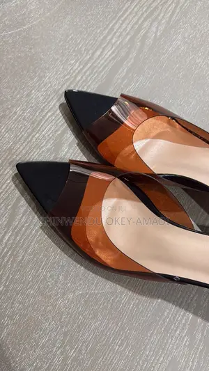Black Pointed Toe Clear Mule Heels