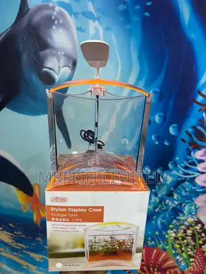 Mini Triangle Table Top Aquarium