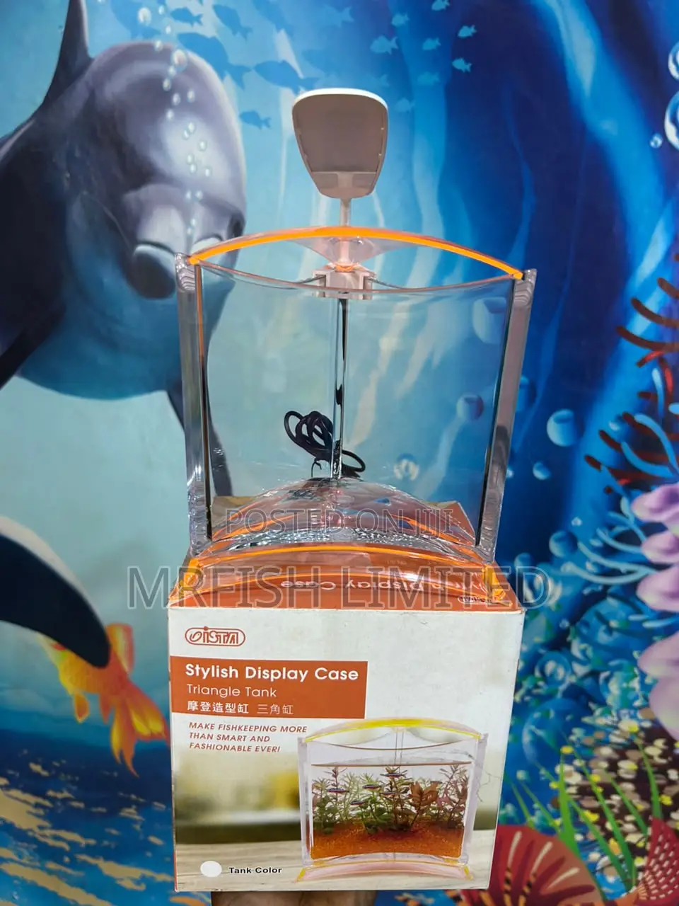 Mini Triangle Table Top Aquarium