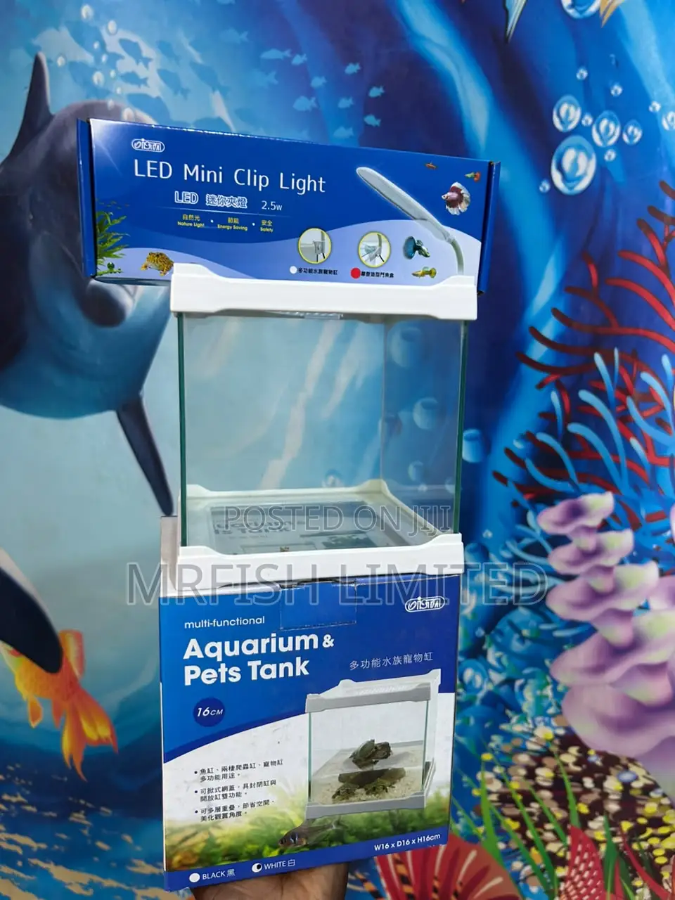 Table Top Aquarium