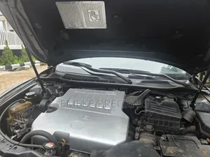 Lexus RX 2008 Gray