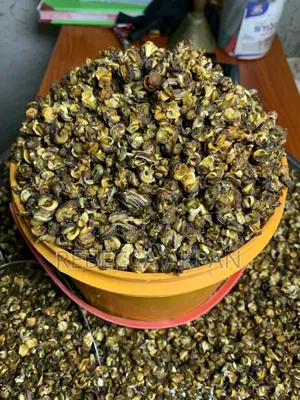 Dried and Fresh Snails, and Dried Perewinkles for Sales
