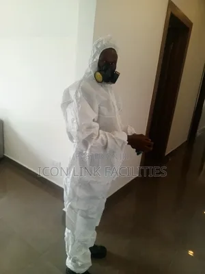Bed Bugs Fumigation