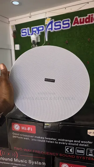 100watts Ceiling Speaker